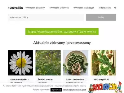 1000roslin.pl