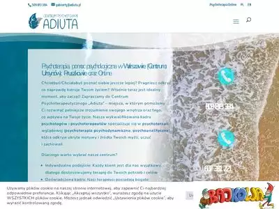 adiuta.pl