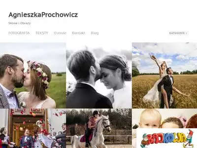 agnieszkaprochowicz.pl