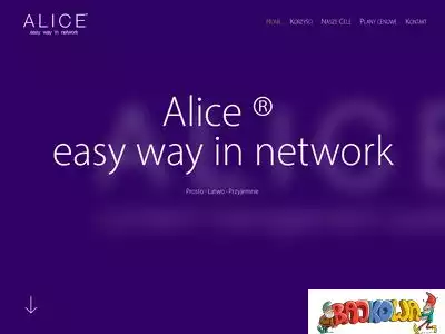 alice-network.pl