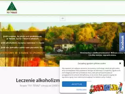 alkoholizm.org.pl