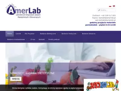 amerlab.pl