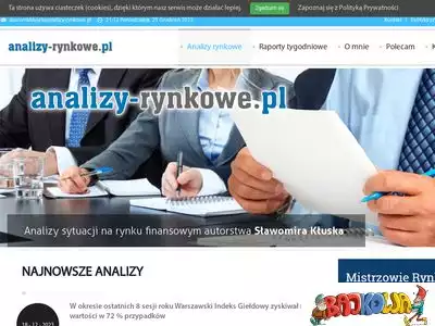 analizy-rynkowe.pl