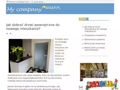 anap.pl