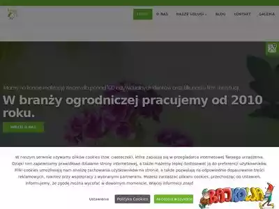 araneo.com.pl