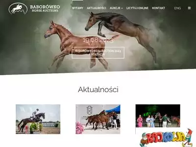 auctions.baborowko.pl