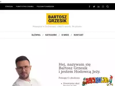 bartoszgrzesik.pl