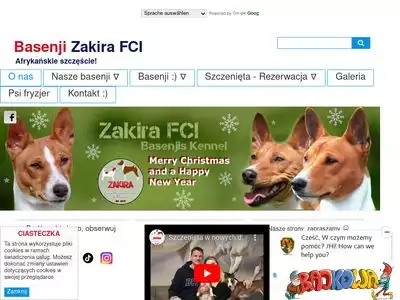 basenji-zakira.pl