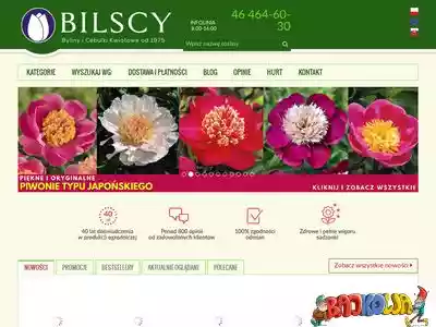 bilscy.info