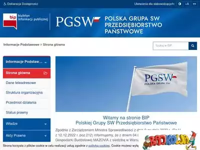 bip-pgsw.pl