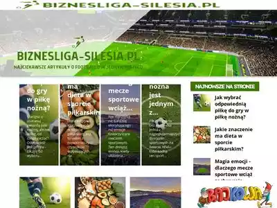 biznesliga-silesia.pl