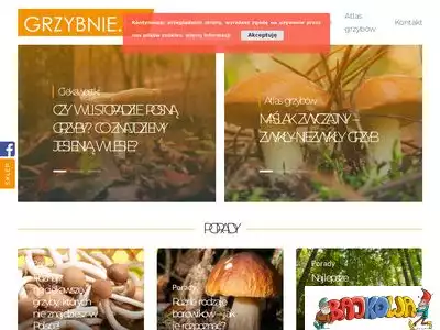 blog.grzybnie.pl