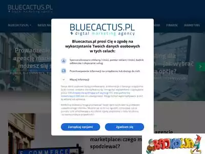 bluecactus.pl