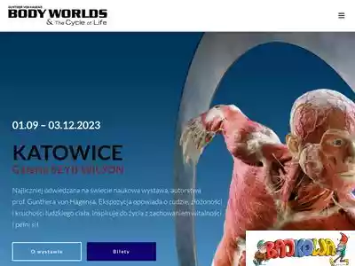 bodyworlds.pl