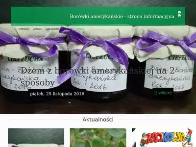 borowki-amerykanskie.com.pl