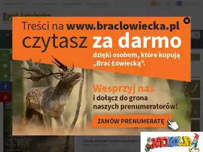 braclowiecka.pl