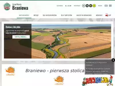 braniewo.pl