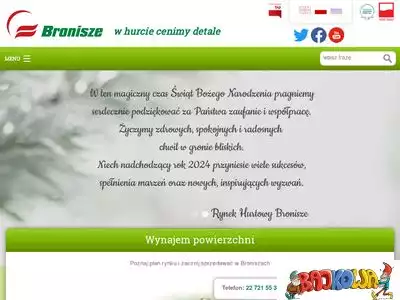 bronisze.com.pl