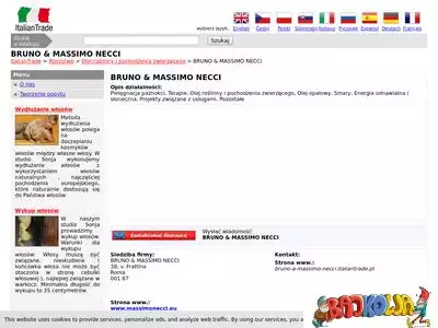 bruno-a-massimo-necci.italiantrade.pl