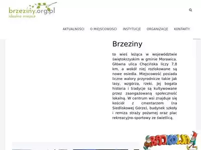 brzeziny.org.pl