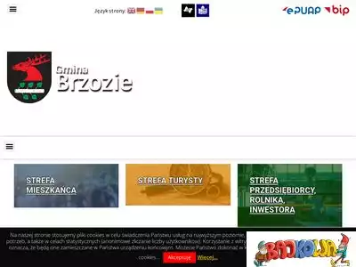 brzozie.pl