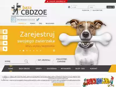 cbdzoe.pl