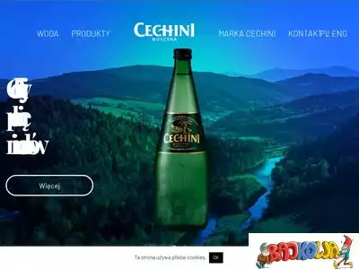 cechini-muszyna.pl