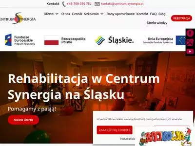 centrum-synergia.pl