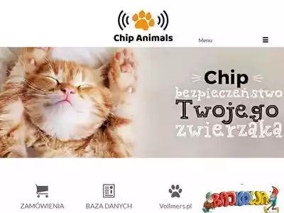 chip-animals.pl