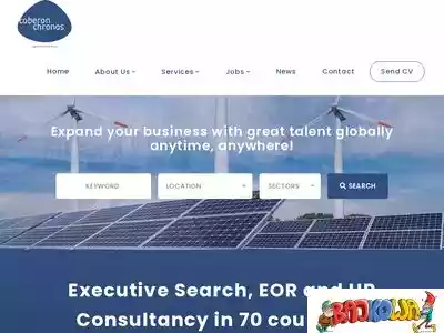 chronosconsulting.com