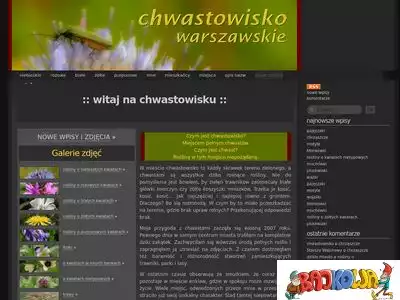 chwastowisko.wordpress.com