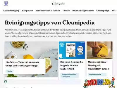 cleanipedia.com