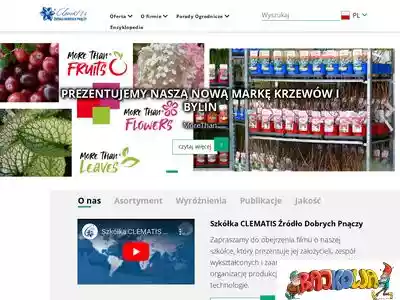 clematis.com.pl