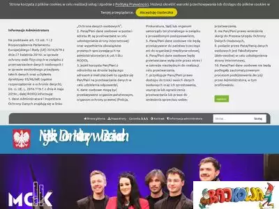 cpik-brzeziny.com.pl