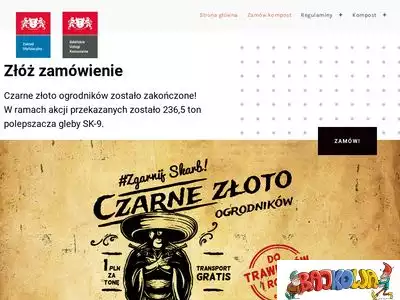 czarnezloto.zut.com.pl