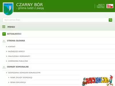 czarny-bor.pl