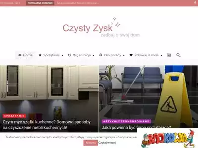 czysty-zysk.com