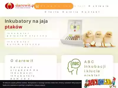 darewit.pl