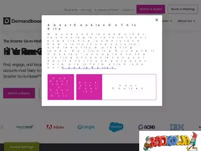 demandbase.com