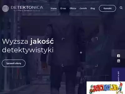 detektonica.com