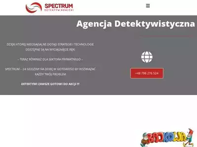 detektywnowicki.pl