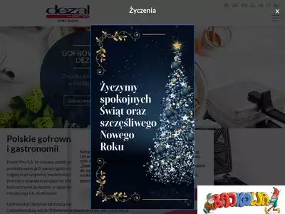 dezal.com.pl