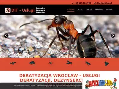 dezynsekcja-pro.pl