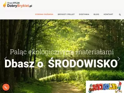 dobrybrykiet.pl