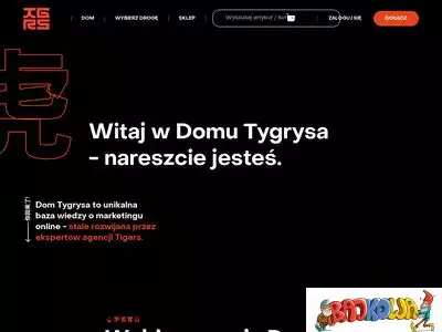 dom.tygrysa.pl