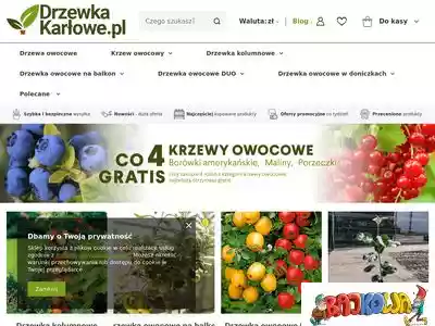 drzewkakarlowe.pl