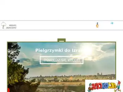 drzewooliwne.com.pl