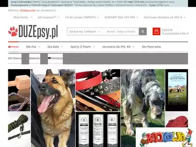 duzepsy.pl