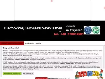 duzy-szwajcarski-pies-pasterski.prv.pl