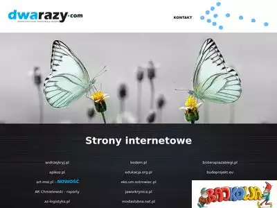 dwarazy.com